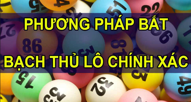 Phương pháp bắt bạch thủ lô dễ dàng